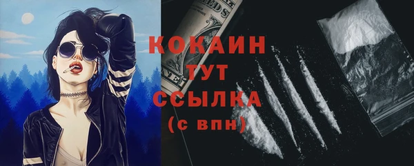 спиды Вяземский