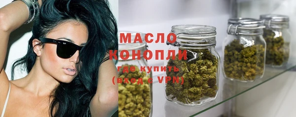 спиды Вяземский