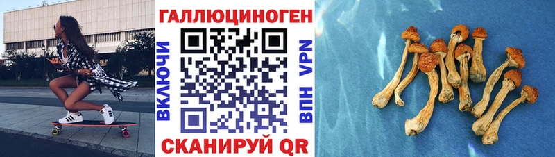 Галлюциногенные грибы мицелий  Каменск-Уральский 